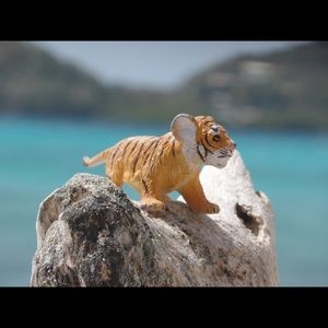 Meet your Posher, Diane